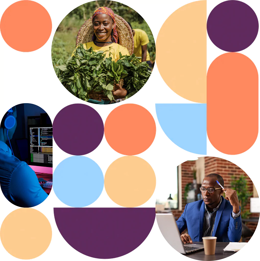 Crunch Fundings Sectors